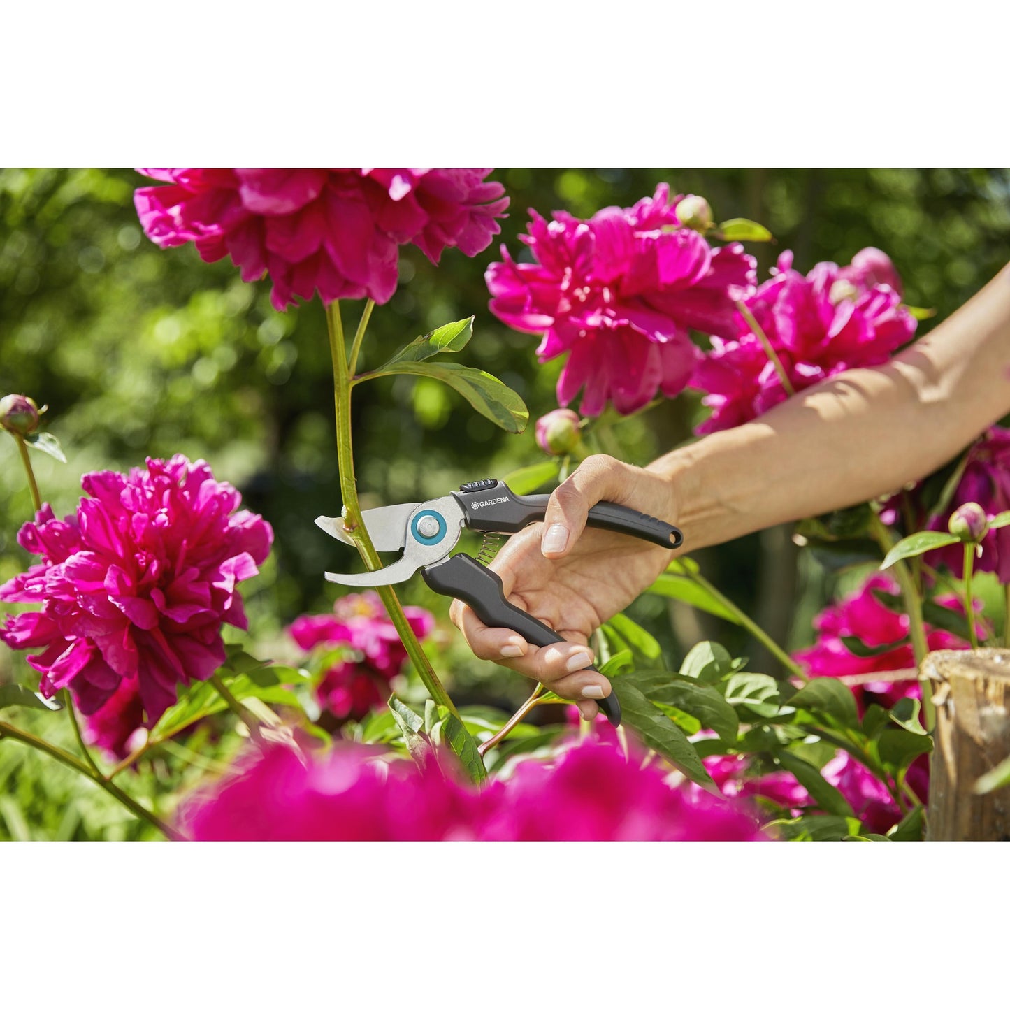 Gardena EcoLine Gartenschere